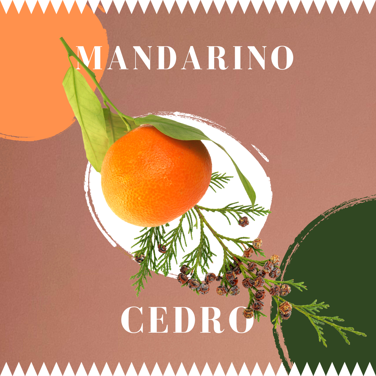 CANDELA OFFICINALE MANDARINO + CEDRO | OTÒNZU | 170 GR