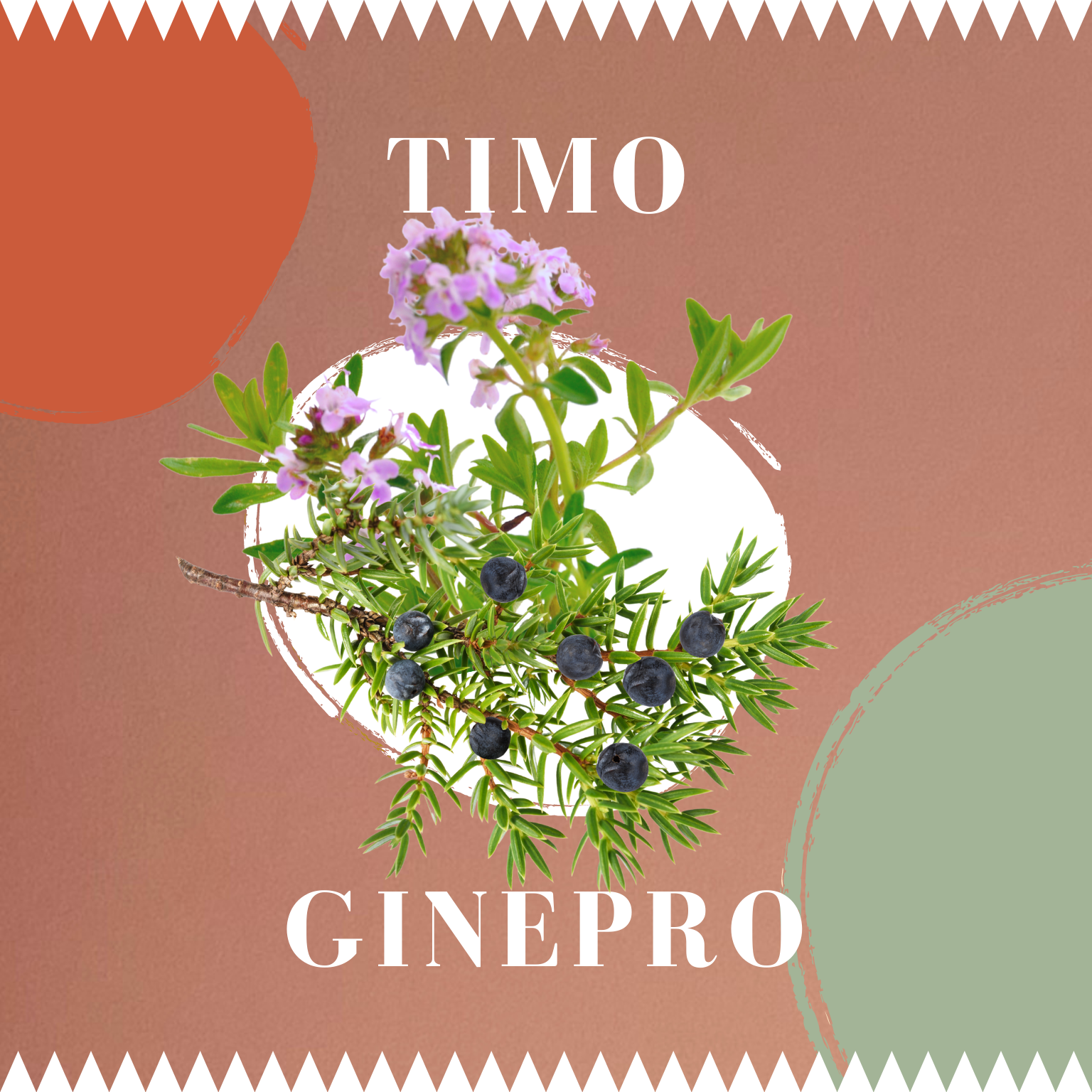 CANDELA OFFICINALE TIMO + GINEPRO | IBÈRRU | 170 GR